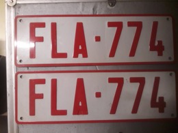 Juego de dos placas de matrícula belgas FLA-774