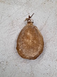 Cantimplora oval GUERRA CIVIL con pátina terrosa
