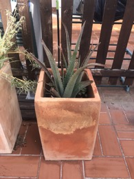 Maceta HERSTERA Cubo Alto Delta | Terracota-Barro