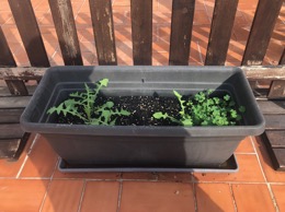 Jardineras HERSTERA Exterior Mod. Cassettonne | Antracita