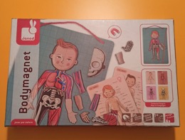 Juego de anatomía magnético JANOD