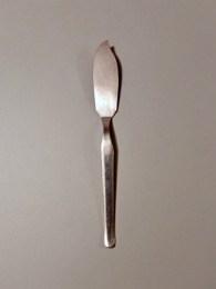 Cuchillo | Pala pescado en acero inoxidable