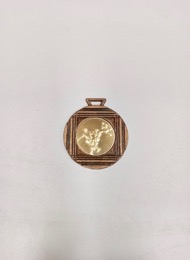 Medalla conmemorativa XII DIADA SAGARRA 1995_FUTBOL | ⦵ 4,2 cm