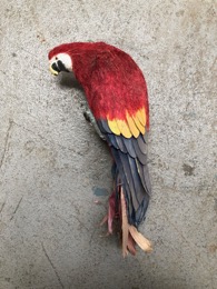 Loro ficticio tamaño natural | Guacamaya Roja | 11 x h 32 cm