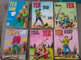 Volúmenes TEX Novela gráfica BURU LAN Ediciones | Años 70