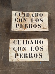 Cartel metálico CUIDADO CON LOS PERROS | 45 x h 26 cm