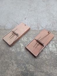Ratonera de impacto | 14 x 6 x 1 cm