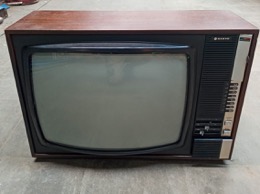 Televisor sobremesa SANYO Mod 20