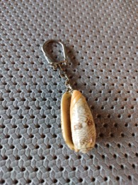 LLavero caracola mar | 2 x h 8 cm.